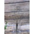 Metal Paslanmaz Eko Çırpıcı 21 Cm YLMZ-1645